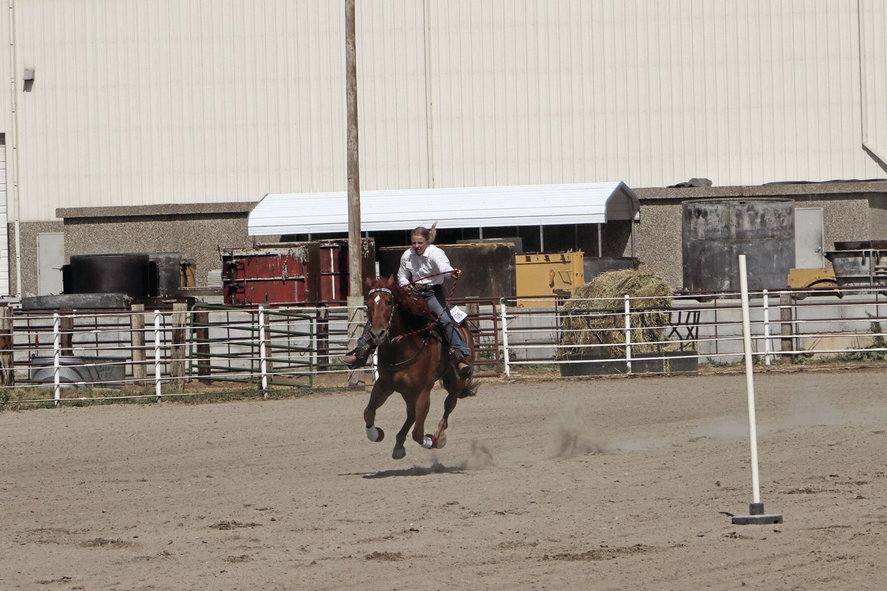 073122-ssh-new-horseshow-p44.jpg